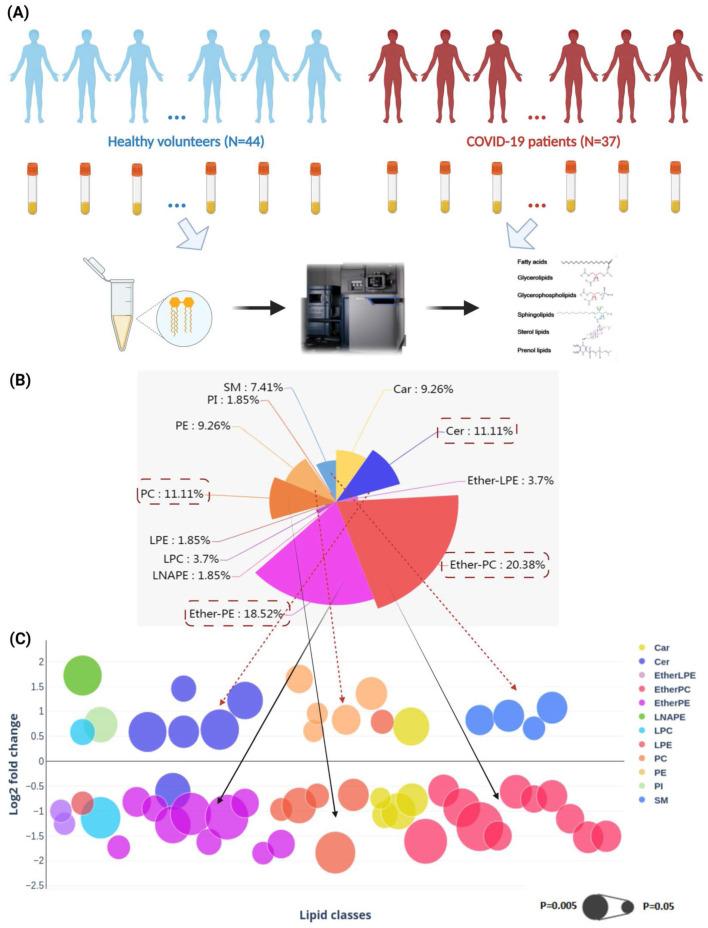https://cdn.ncbi.nlm.nih.gov/pmc/blobs/bf91/9305268/aeb4f77e4c67/ijbsv18p4744g002.jpg