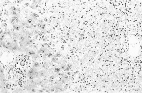 https://cdn.ncbi.nlm.nih.gov/pmc/blobs/bf92/1430182/962b1f41652a/brjclinpharm00214-0157-a.jpg