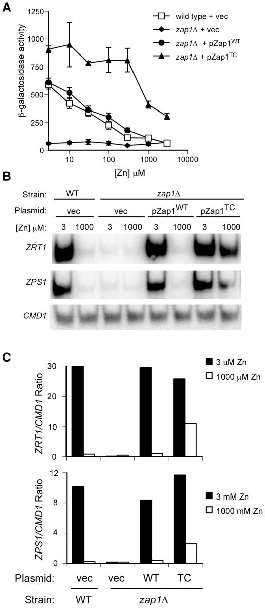 https://cdn.ncbi.nlm.nih.gov/pmc/blobs/bf92/3142189/be3fad2cfefd/pone.0022535.g001.jpg