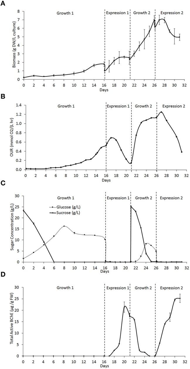 https://cdn.ncbi.nlm.nih.gov/pmc/blobs/bf92/4814504/f8916a1a96b5/fpls-07-00412-g0003.jpg