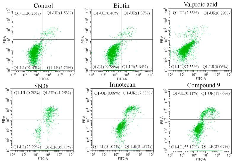 https://cdn.ncbi.nlm.nih.gov/pmc/blobs/bf93/10179906/71dc37fb1a5c/molecules-28-03936-g003.jpg