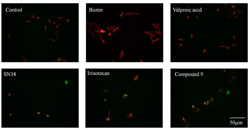 https://cdn.ncbi.nlm.nih.gov/pmc/blobs/bf93/10179906/957a460c55e1/molecules-28-03936-g002.jpg