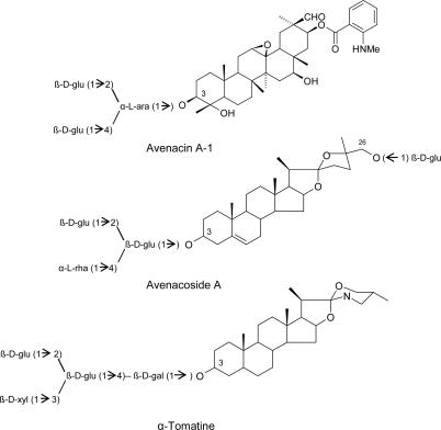 https://cdn.ncbi.nlm.nih.gov/pmc/blobs/bf93/2812827/86d13b6eb96c/ijms-10-03371f9.jpg