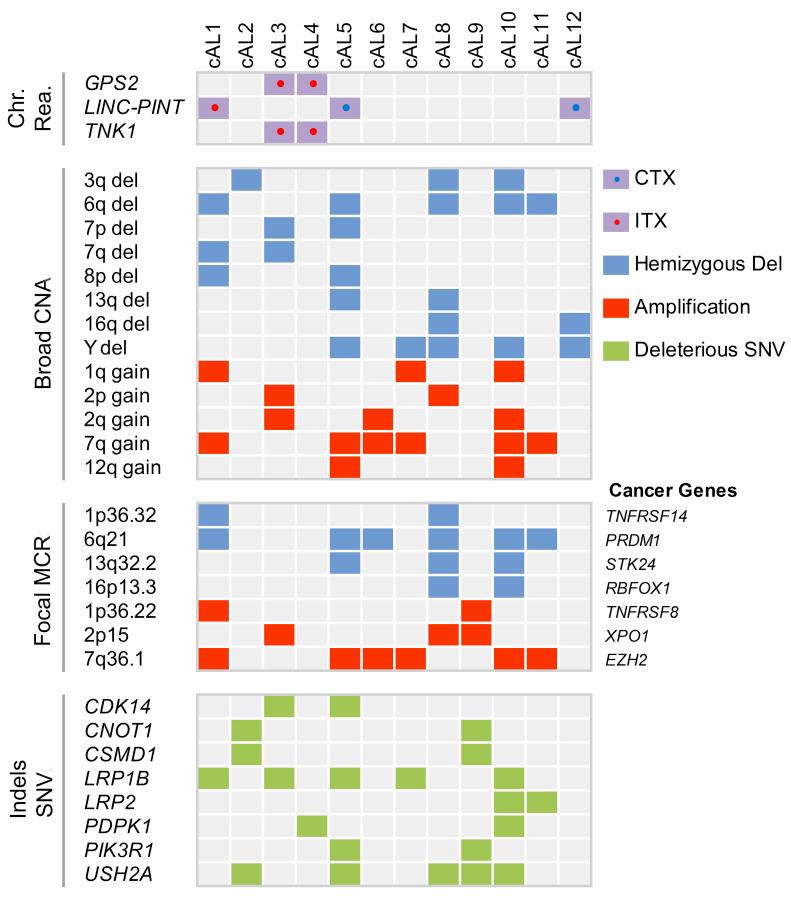 https://cdn.ncbi.nlm.nih.gov/pmc/blobs/bf93/9244823/07f2d6d9b1e7/1071619.fig4.jpg