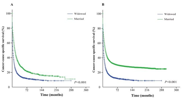 https://cdn.ncbi.nlm.nih.gov/pmc/blobs/bf94/5617539/819a529a3ddd/oncotarget-08-62666-g004.jpg