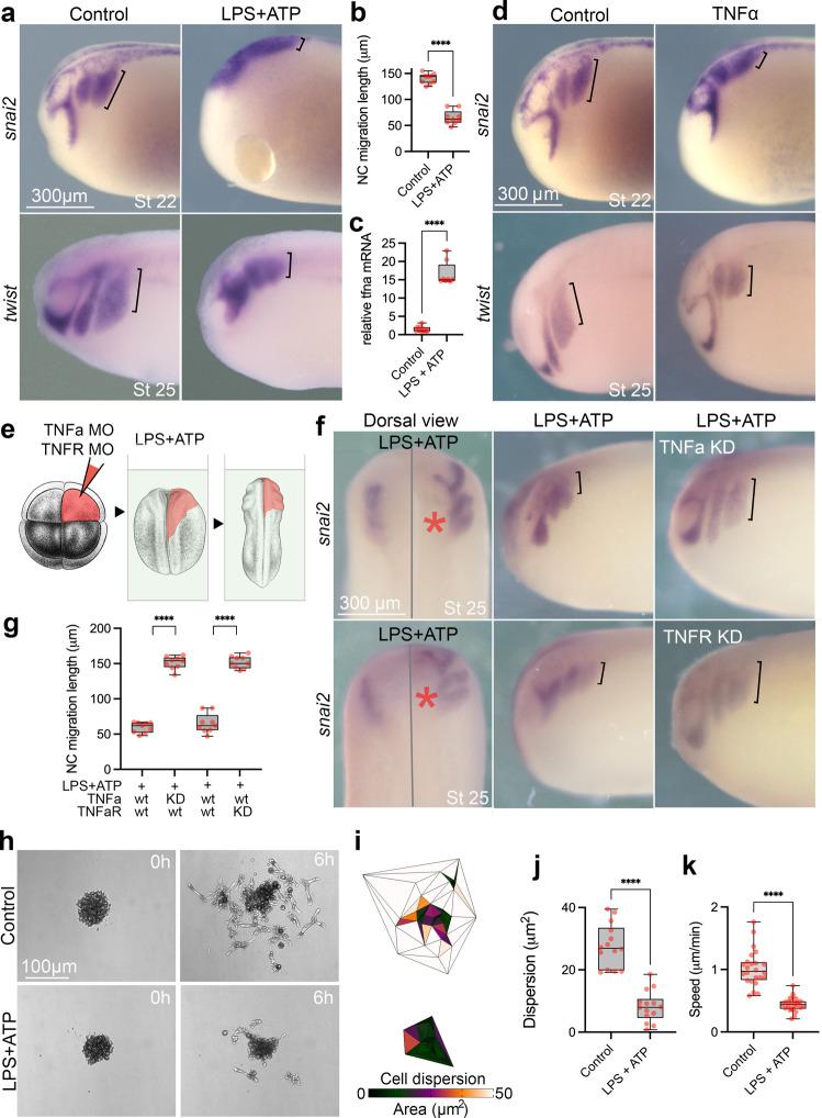 https://cdn.ncbi.nlm.nih.gov/pmc/blobs/bf97/10209087/4b03a9e27223/41467_2023_38526_Fig2_HTML.jpg