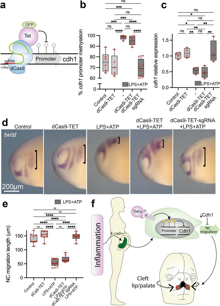 https://cdn.ncbi.nlm.nih.gov/pmc/blobs/bf97/10209087/82894d9a5400/41467_2023_38526_Fig7_HTML.jpg