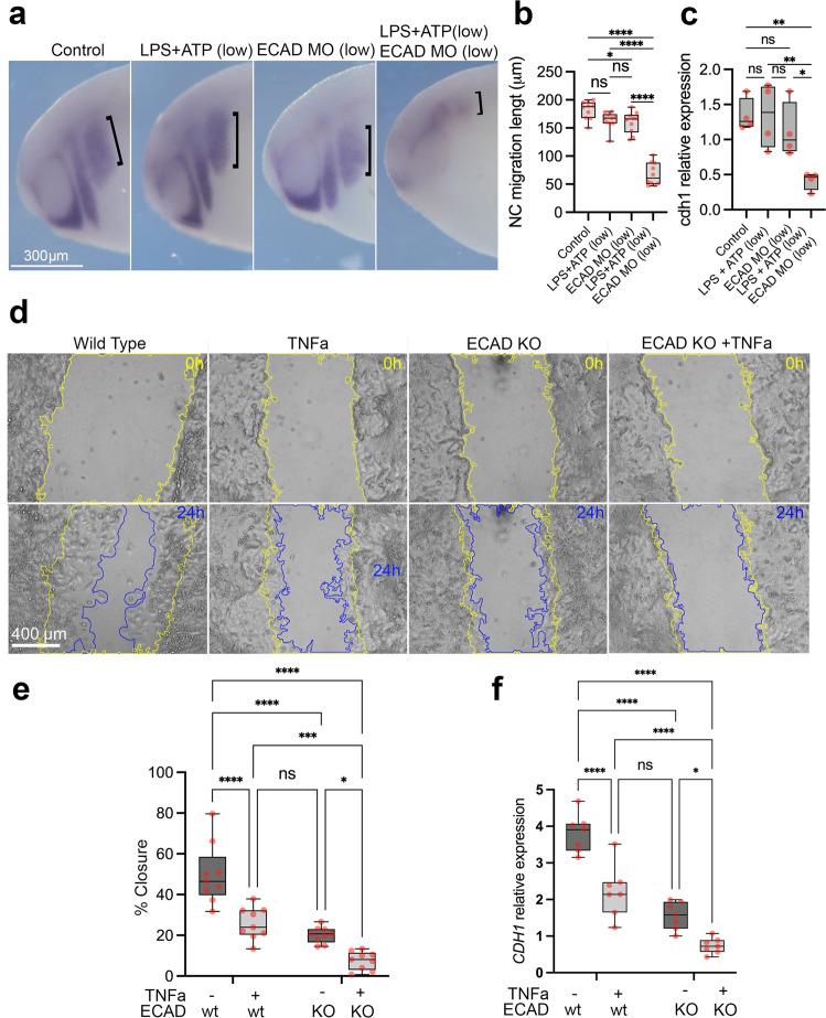 https://cdn.ncbi.nlm.nih.gov/pmc/blobs/bf97/10209087/e8f855451922/41467_2023_38526_Fig4_HTML.jpg