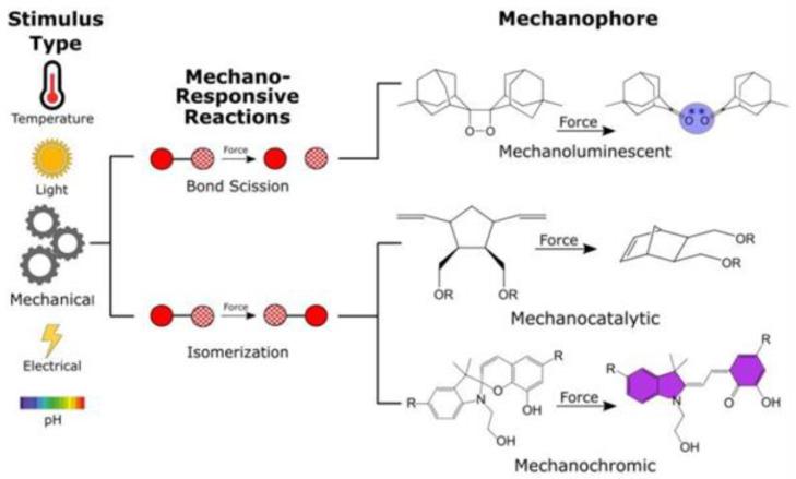 https://cdn.ncbi.nlm.nih.gov/pmc/blobs/bf97/8839360/ac23f63c50e9/polymers-14-00604-g005.jpg