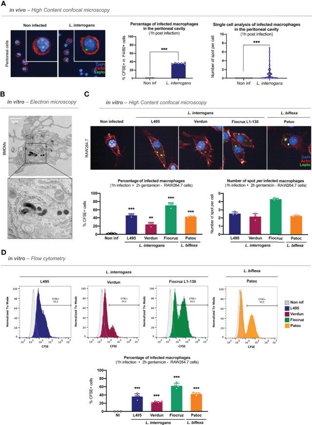 https://cdn.ncbi.nlm.nih.gov/pmc/blobs/bf97/9310662/78890c2ef818/fcimb-12-936931-g001.jpg