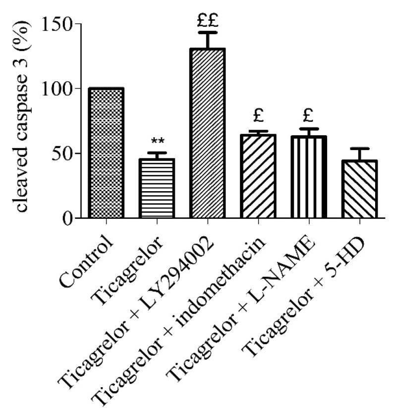 https://cdn.ncbi.nlm.nih.gov/pmc/blobs/bf98/7277469/48caa93c8ae4/biomolecules-10-00740-g006.jpg
