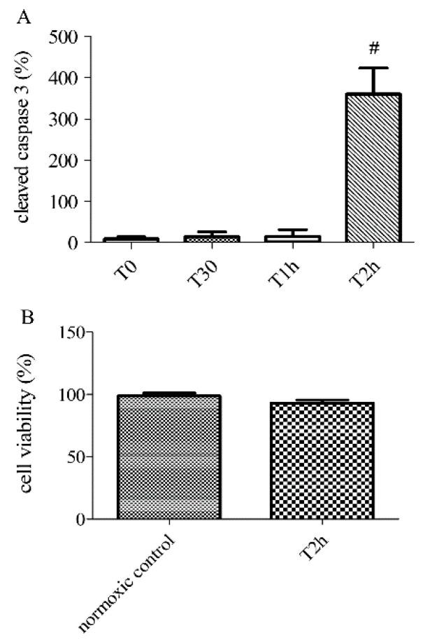 https://cdn.ncbi.nlm.nih.gov/pmc/blobs/bf98/7277469/d4c0d9d07c6c/biomolecules-10-00740-g002.jpg