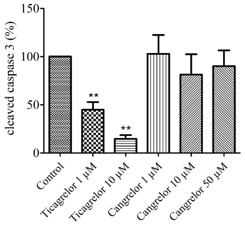 https://cdn.ncbi.nlm.nih.gov/pmc/blobs/bf98/7277469/f0881c5144a9/biomolecules-10-00740-g003.jpg