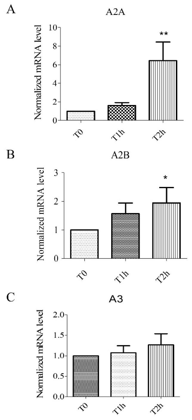 https://cdn.ncbi.nlm.nih.gov/pmc/blobs/bf98/7277469/f227db0dcb6b/biomolecules-10-00740-g001.jpg