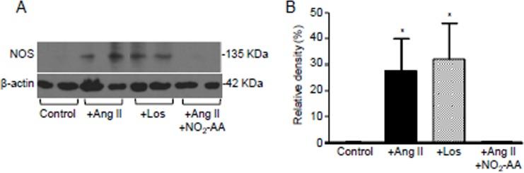https://cdn.ncbi.nlm.nih.gov/pmc/blobs/bf9b/4778875/80df24f7b4b9/pone.0150459.g003.jpg