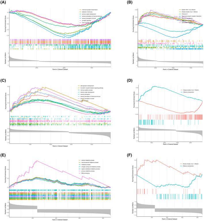 https://cdn.ncbi.nlm.nih.gov/pmc/blobs/bfa1/9527589/59bf3da181a3/FEB4-12-1814-g006.jpg