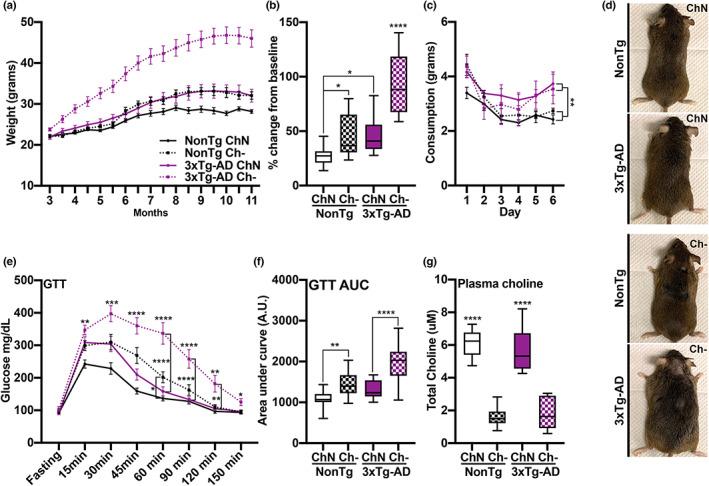 https://cdn.ncbi.nlm.nih.gov/pmc/blobs/bfa1/9924938/05507dd5d608/ACEL-22-e13775-g001.jpg