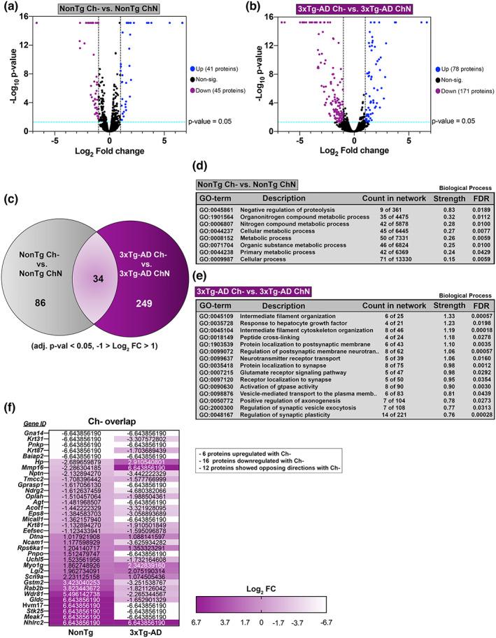 https://cdn.ncbi.nlm.nih.gov/pmc/blobs/bfa1/9924938/32c7b880588a/ACEL-22-e13775-g003.jpg