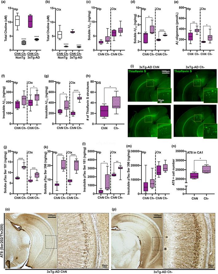https://cdn.ncbi.nlm.nih.gov/pmc/blobs/bfa1/9924938/9380c3e1be85/ACEL-22-e13775-g002.jpg