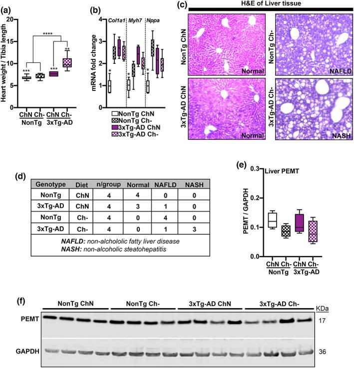 https://cdn.ncbi.nlm.nih.gov/pmc/blobs/bfa1/9924938/bbf432492039/ACEL-22-e13775-g005.jpg