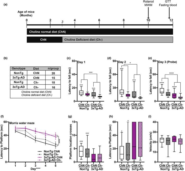 https://cdn.ncbi.nlm.nih.gov/pmc/blobs/bfa1/9924938/ee8780b1c45b/ACEL-22-e13775-g006.jpg