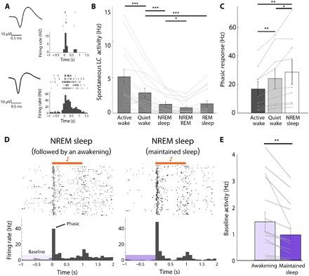 https://cdn.ncbi.nlm.nih.gov/pmc/blobs/bfa2/7141817/0997edb2b45c/aaz4232-F2.jpg