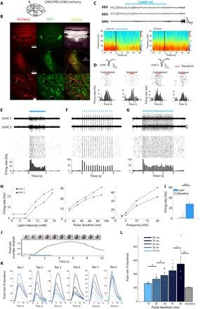 https://cdn.ncbi.nlm.nih.gov/pmc/blobs/bfa2/7141817/fa700d8ab5d1/aaz4232-F3.jpg