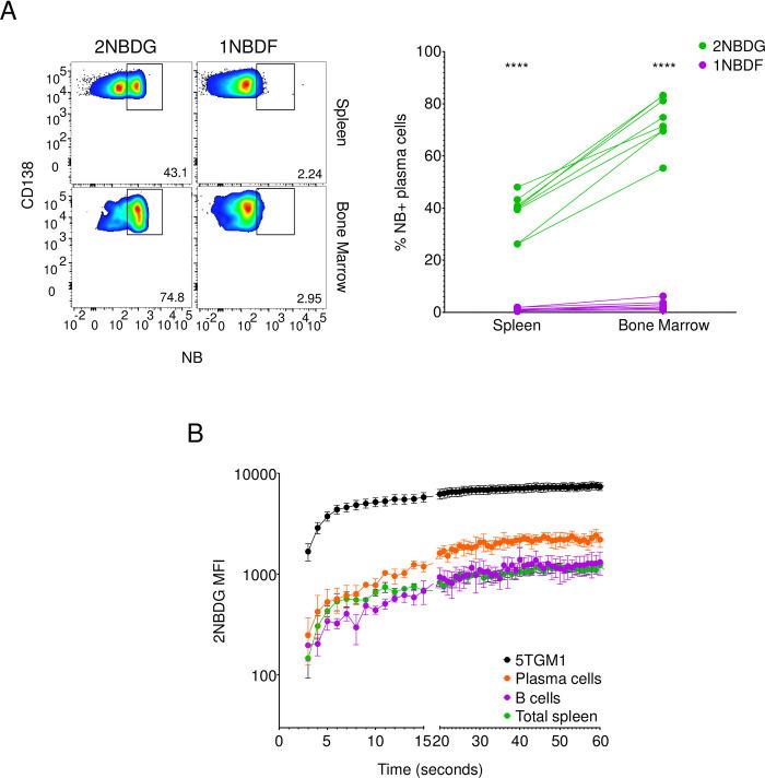https://cdn.ncbi.nlm.nih.gov/pmc/blobs/bfa2/9401136/945577e0cc13/pone.0261801.g003.jpg