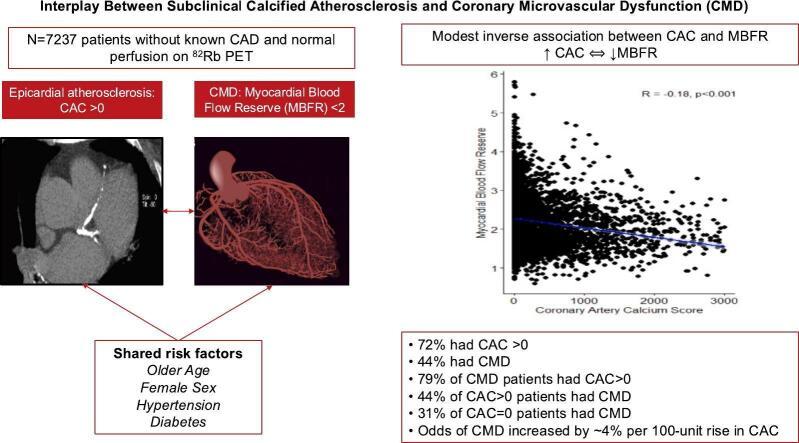 https://cdn.ncbi.nlm.nih.gov/pmc/blobs/bfa3/12284784/37feafb0d1cd/ga1.jpg