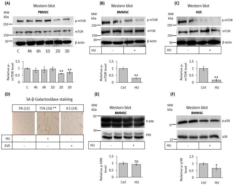 https://cdn.ncbi.nlm.nih.gov/pmc/blobs/bfa3/8619969/1681d53f3326/jpm-11-01048-g006.jpg
