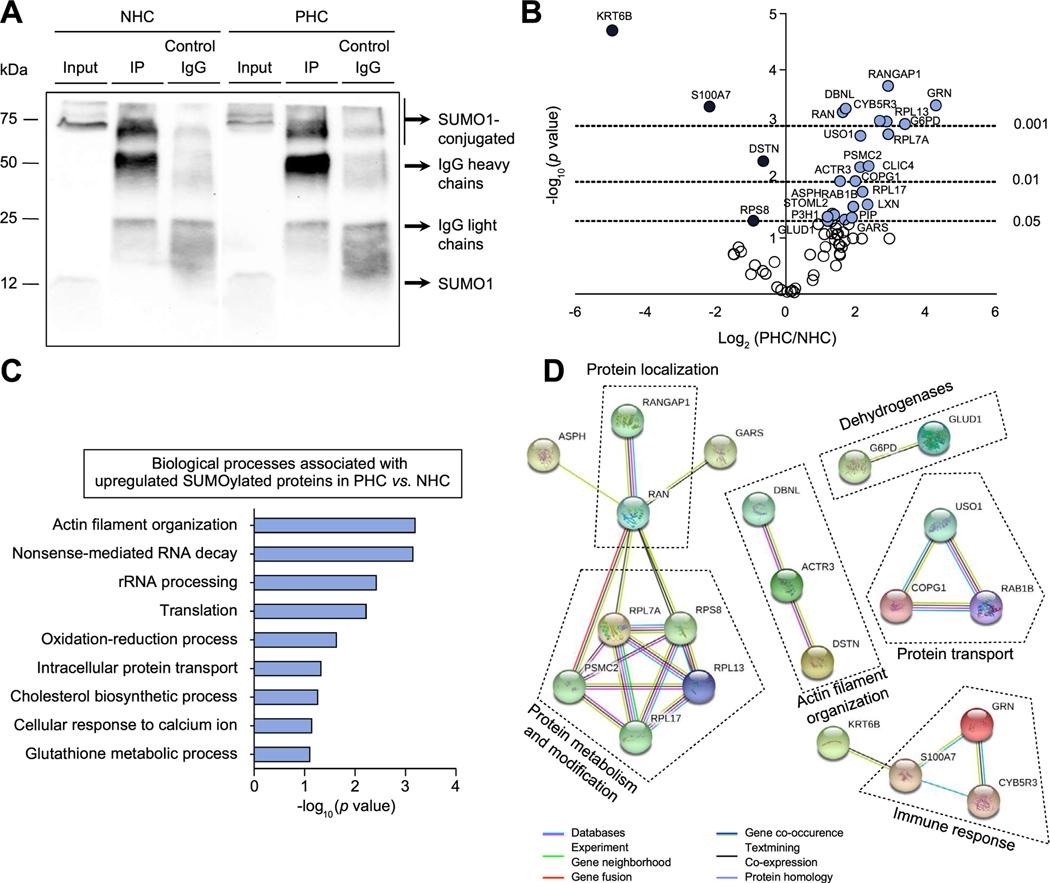 https://cdn.ncbi.nlm.nih.gov/pmc/blobs/bfa4/8157180/153e96fcdcb4/nihms-1666894-f0006.jpg