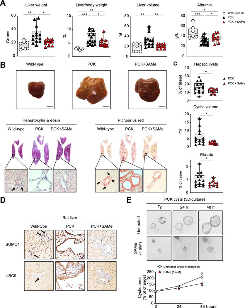 https://cdn.ncbi.nlm.nih.gov/pmc/blobs/bfa4/8157180/6bdd66ed8742/nihms-1666894-f0003.jpg