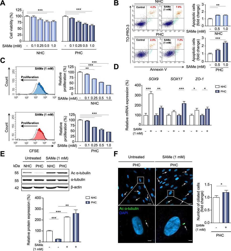 https://cdn.ncbi.nlm.nih.gov/pmc/blobs/bfa4/8157180/bbd15b1bfe75/nihms-1666894-f0004.jpg
