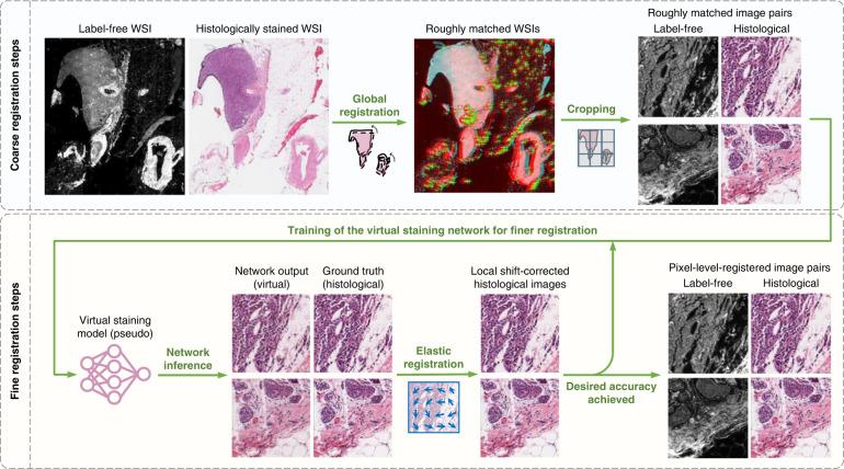 https://cdn.ncbi.nlm.nih.gov/pmc/blobs/bfa4/9981740/16a0f9516562/41377_2023_1104_Fig6_HTML.jpg