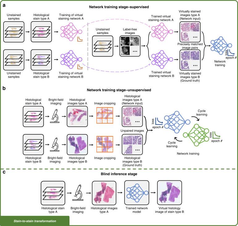 https://cdn.ncbi.nlm.nih.gov/pmc/blobs/bfa4/9981740/b75da7b73933/41377_2023_1104_Fig3_HTML.jpg