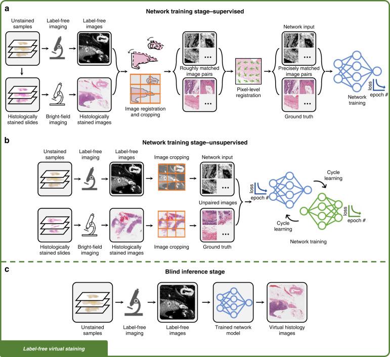 https://cdn.ncbi.nlm.nih.gov/pmc/blobs/bfa4/9981740/d0a4be5b5567/41377_2023_1104_Fig2_HTML.jpg
