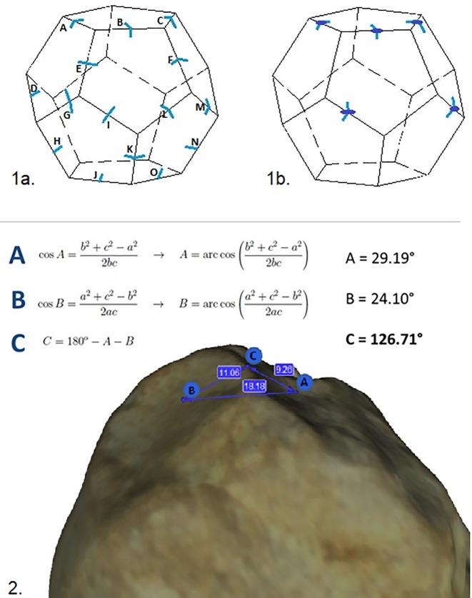 https://cdn.ncbi.nlm.nih.gov/pmc/blobs/bfa5/6992009/1899aaefc44f/pone.0228290.g006.jpg