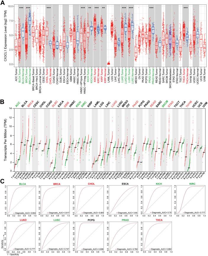 https://cdn.ncbi.nlm.nih.gov/pmc/blobs/bfa6/10157490/cfd0cf955acb/fgene-14-1183795-g001.jpg