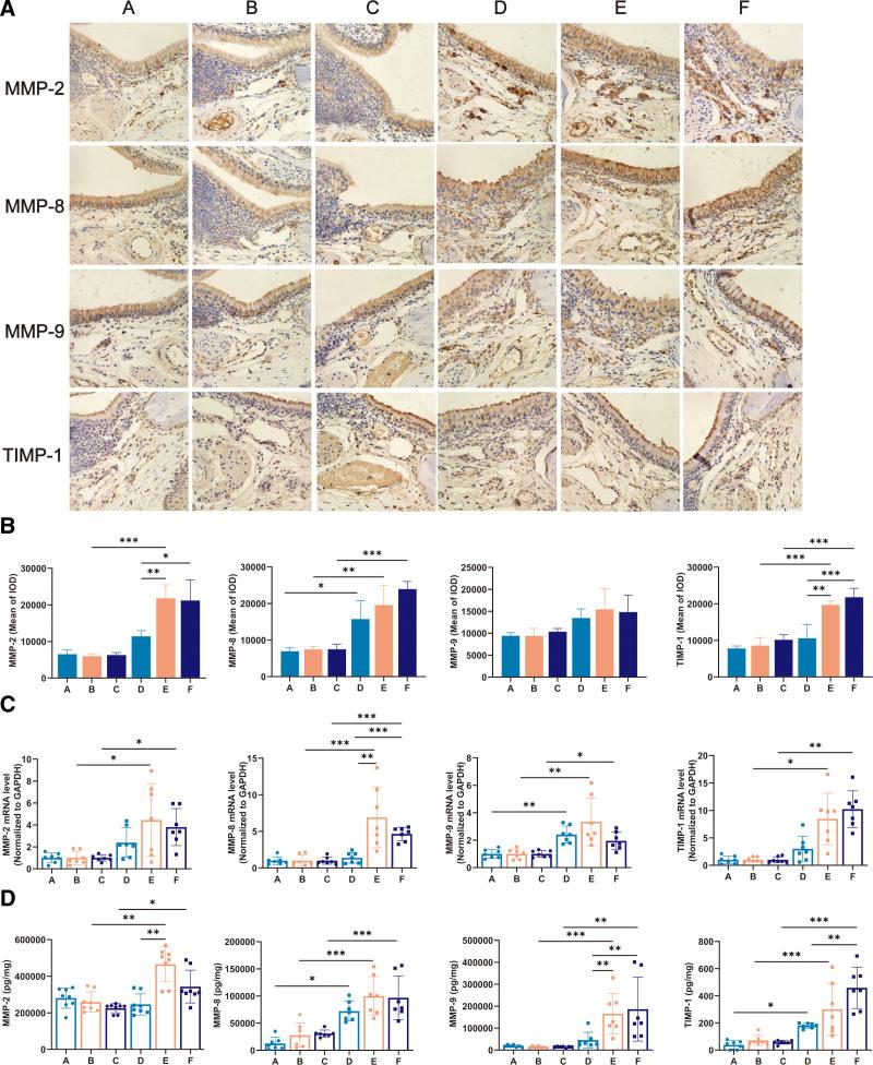 https://cdn.ncbi.nlm.nih.gov/pmc/blobs/bfa7/10715747/b1b3544ac084/pa9-13-164-g006.jpg