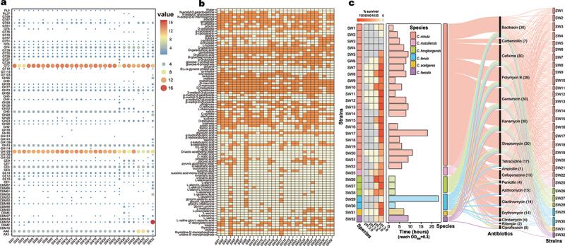 https://cdn.ncbi.nlm.nih.gov/pmc/blobs/bfa8/11085954/93a5b8ae201e/KGMI_A_2347725_F0003_OC.jpg