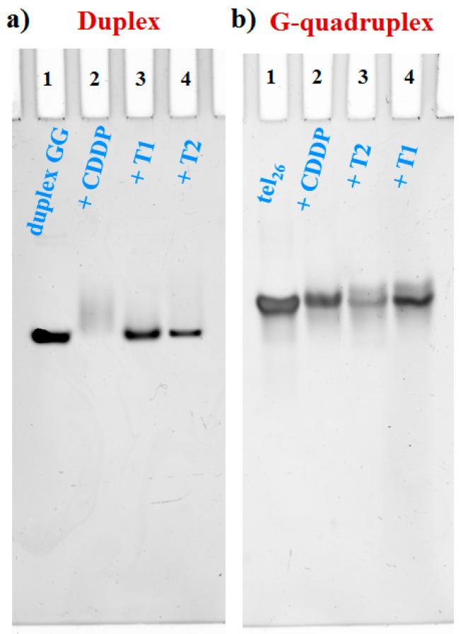 https://cdn.ncbi.nlm.nih.gov/pmc/blobs/bfa8/7600948/cf66dfae2b93/pharmaceuticals-13-00284-g006.jpg