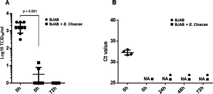 https://cdn.ncbi.nlm.nih.gov/pmc/blobs/bfa9/12090725/5d18bef13c04/jvi.00143-25.f005.jpg