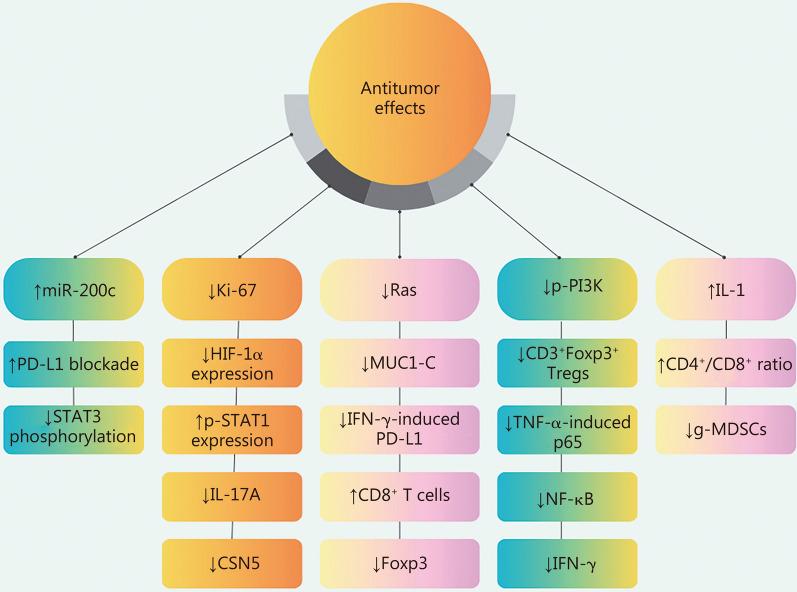 https://cdn.ncbi.nlm.nih.gov/pmc/blobs/bfaa/11654217/079406f7fc40/40779_2024_586_Fig6_HTML.jpg