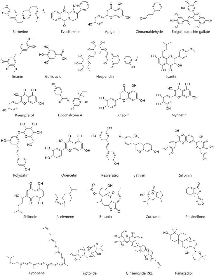 https://cdn.ncbi.nlm.nih.gov/pmc/blobs/bfaa/11654217/5e81050e175b/40779_2024_586_Fig2_HTML.jpg