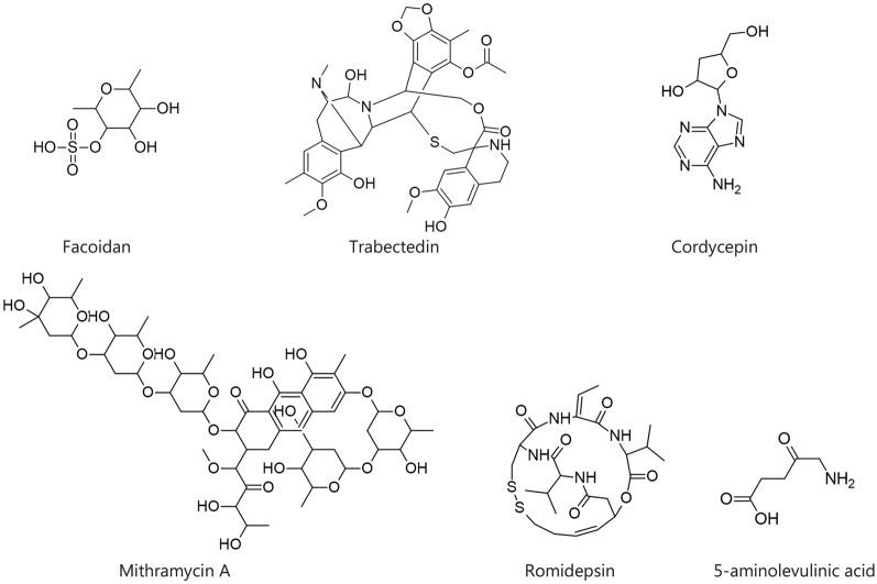 https://cdn.ncbi.nlm.nih.gov/pmc/blobs/bfaa/11654217/8a5be82f50dc/40779_2024_586_Fig3_HTML.jpg