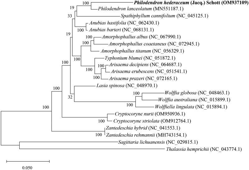 https://cdn.ncbi.nlm.nih.gov/pmc/blobs/bfab/10860476/013b0ecea6c7/TMDN_A_2311748_F0003_B.jpg