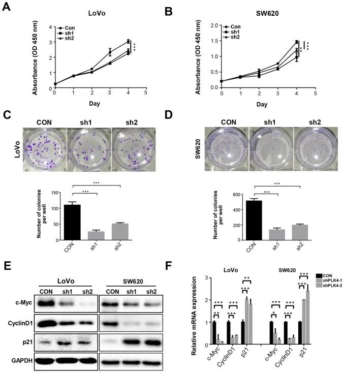 https://cdn.ncbi.nlm.nih.gov/pmc/blobs/bfab/6317648/c22f5d561250/IJO-54-02-0479-g02.jpg