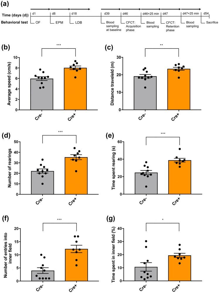 https://cdn.ncbi.nlm.nih.gov/pmc/blobs/bfac/6875150/14ec209d01d2/429_2019_1957_Fig1_HTML.jpg