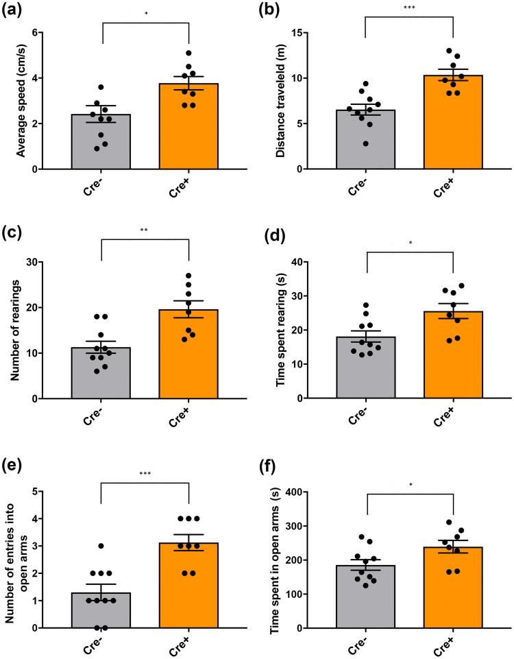 https://cdn.ncbi.nlm.nih.gov/pmc/blobs/bfac/6875150/e5d73159df1f/429_2019_1957_Fig2_HTML.jpg