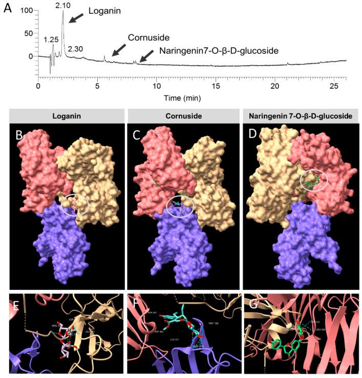 https://cdn.ncbi.nlm.nih.gov/pmc/blobs/bfad/7692184/3c403562b6d0/nutrients-12-03317-g003.jpg